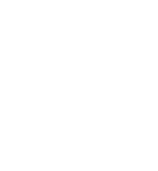 Peugeot 1.2 PureTech distributieriem vervangen